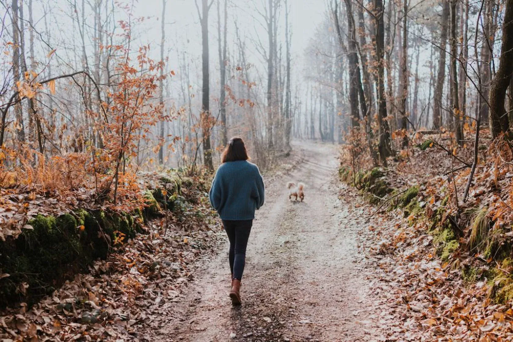 Frau geht mit Hund im Wald spazieren.