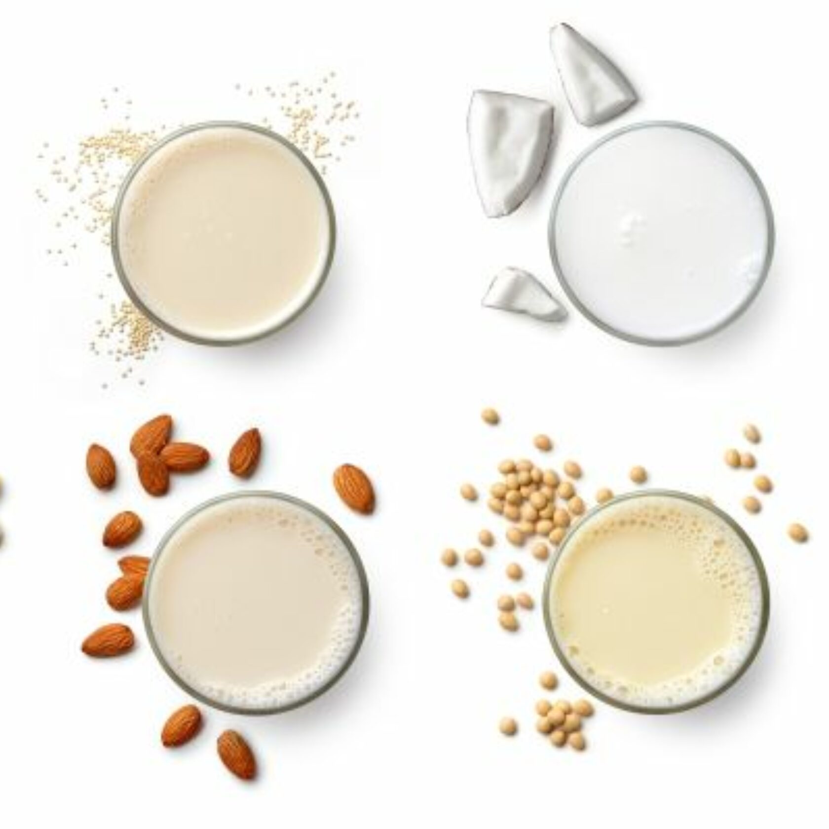 Milchersatzprodukte aus pflanzlichen Quellen im Vergleich