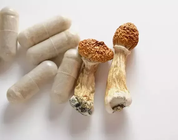Magic Mushrooms und daneben Extrakt in Kapselform.