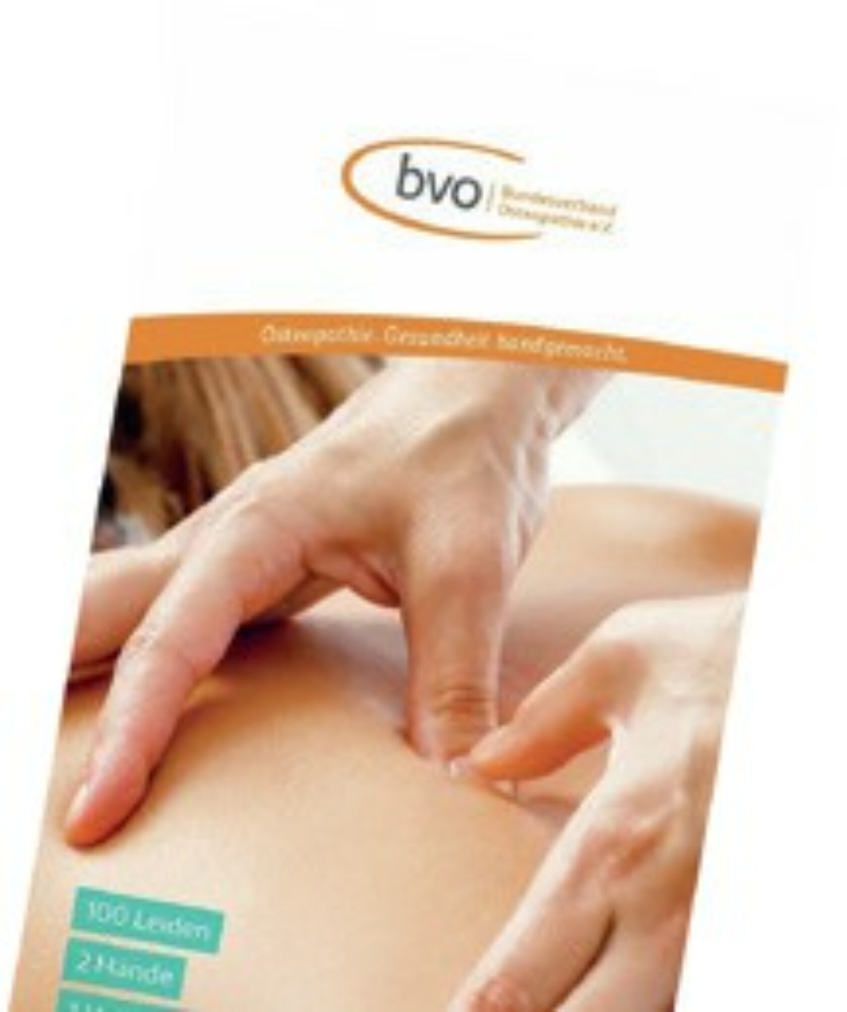 Handbuch zur osteopathischen Therapie vom BVO