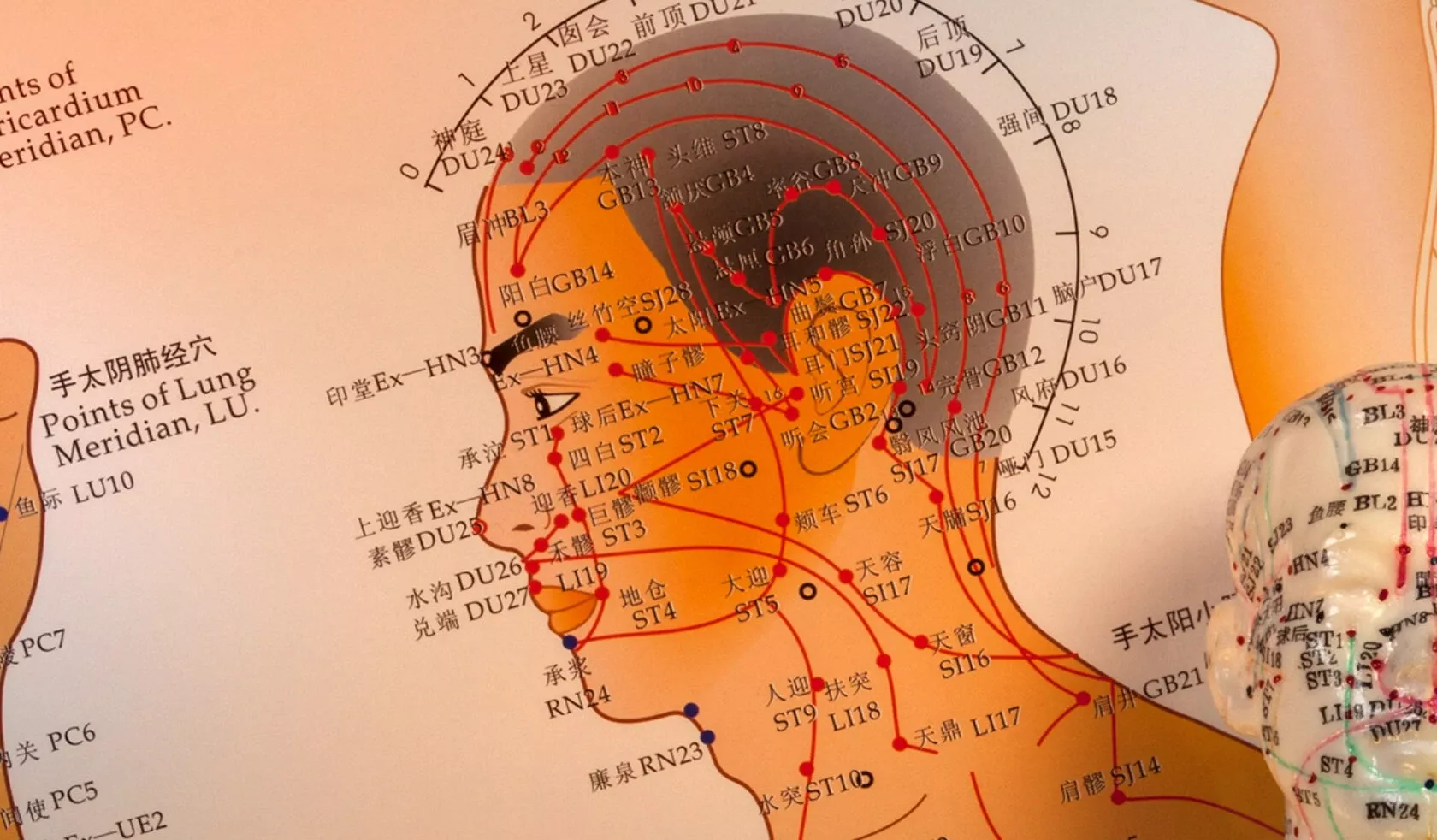 Illustration von Akupunkturpunkten am Kopf in der traditionellen chinesischen Akupunktur.