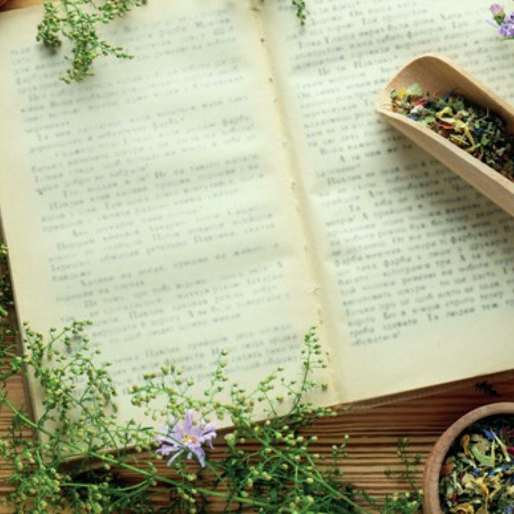 Altes Buch umgeben von getrockneten und frischen Kräutern und Blumen und Arzneimischungen.