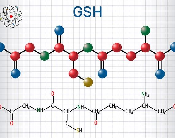 Glutathion GSH - Molekülstruktur und chemische Strukturformel.