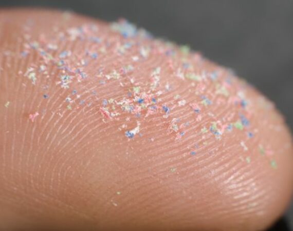 Mikroplastik-Partikel auf einer Fingerkuppe. Es wurde inzwischen auch im Körper nachgewiesen.