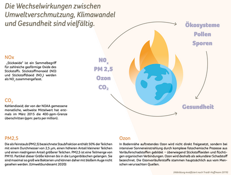 Grafik zeigt Wechselwirkungen zwischen Klimawandel, Umweltzerstörung und Gesundheit 